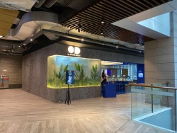 OD by Oyster Dealer ASHTA District 8 SCBD