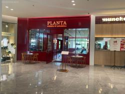Planta Reserva by Javanegra Lippo Mall Nusantara Setiabudi