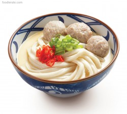 Tori Baitan Udon