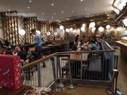 Lokasi Marugame Udon di Pluit Village