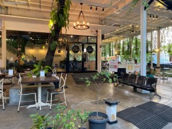 Ali Kopi Roastery The Bale Daan Mogot