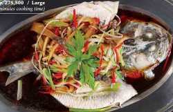 Steamed Fish With Soya Sauce Jittlada Restaurant