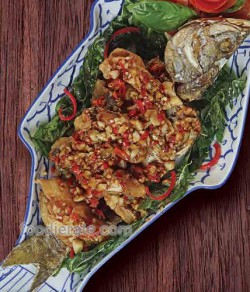 Fried Fish With Crispy Hot Basil