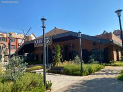 Karnivor Pantai Indah Kapuk (PIK)