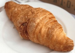 Plain Croissant Union