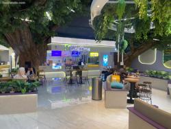 Chatime Lippo Mall Nusantara Setiabudi
